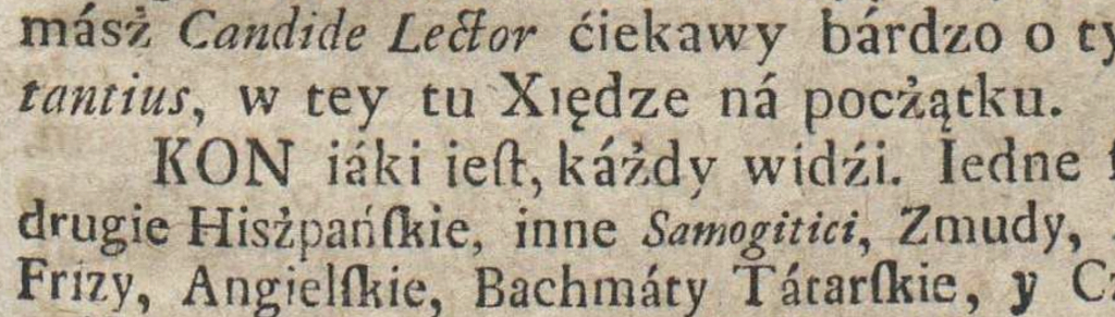 XVIII-wieczna inskrypcja w języku polskim